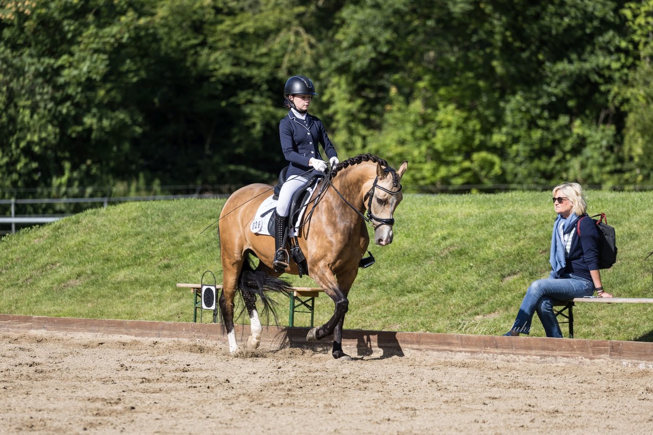 Bild 549 - Pony Akademie Turnier